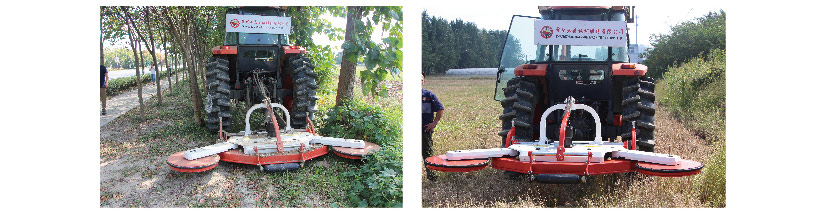 4911571714735557.jpg 4.jpg