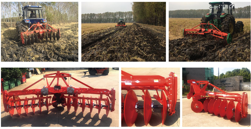 5801571709200367.jpg 2.jpg